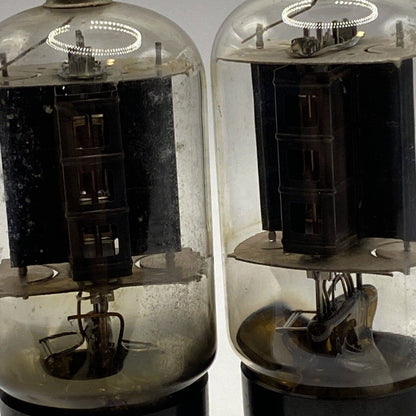 Lot of 2 Chief 6BQ6 6CU6 Vacuum Tube - Amp - Ham Radio Valves - Tested MATCHED!
